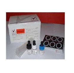 ������|�Լ���|������